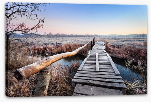 Frosty footbridge
