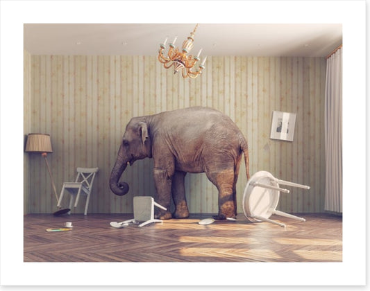 Elephant in the room