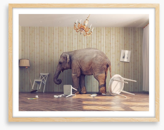 Elephant in the room