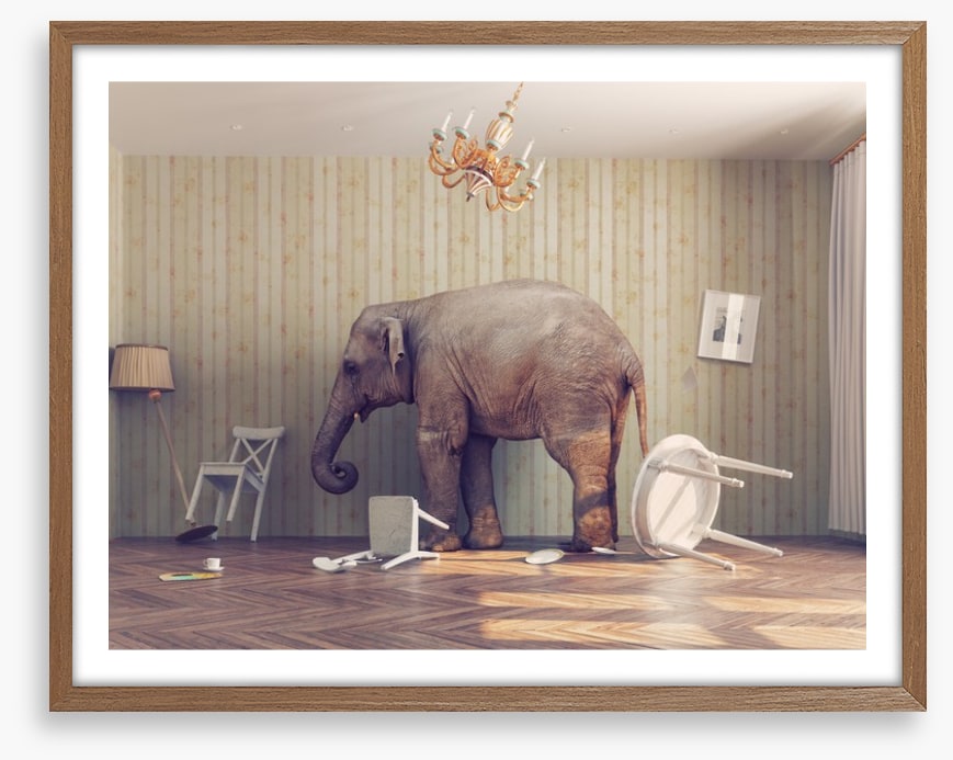 Elephant in the room
