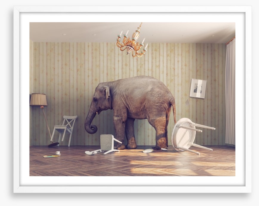 Elephant in the room