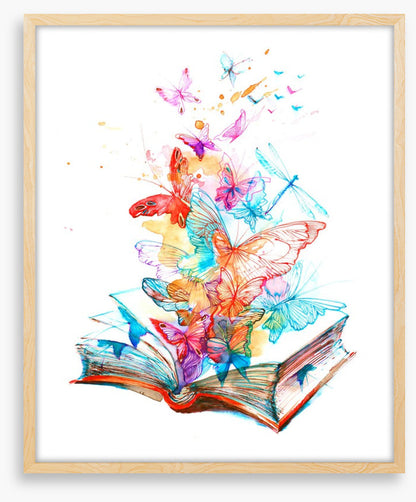 The butterfly book