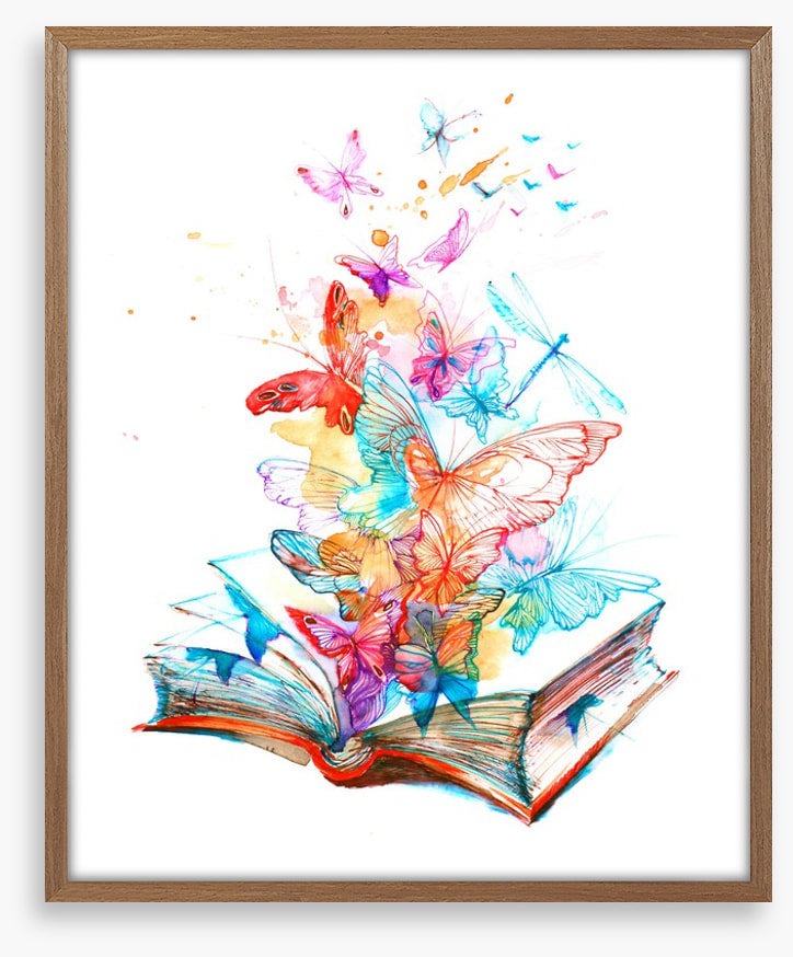 The butterfly book