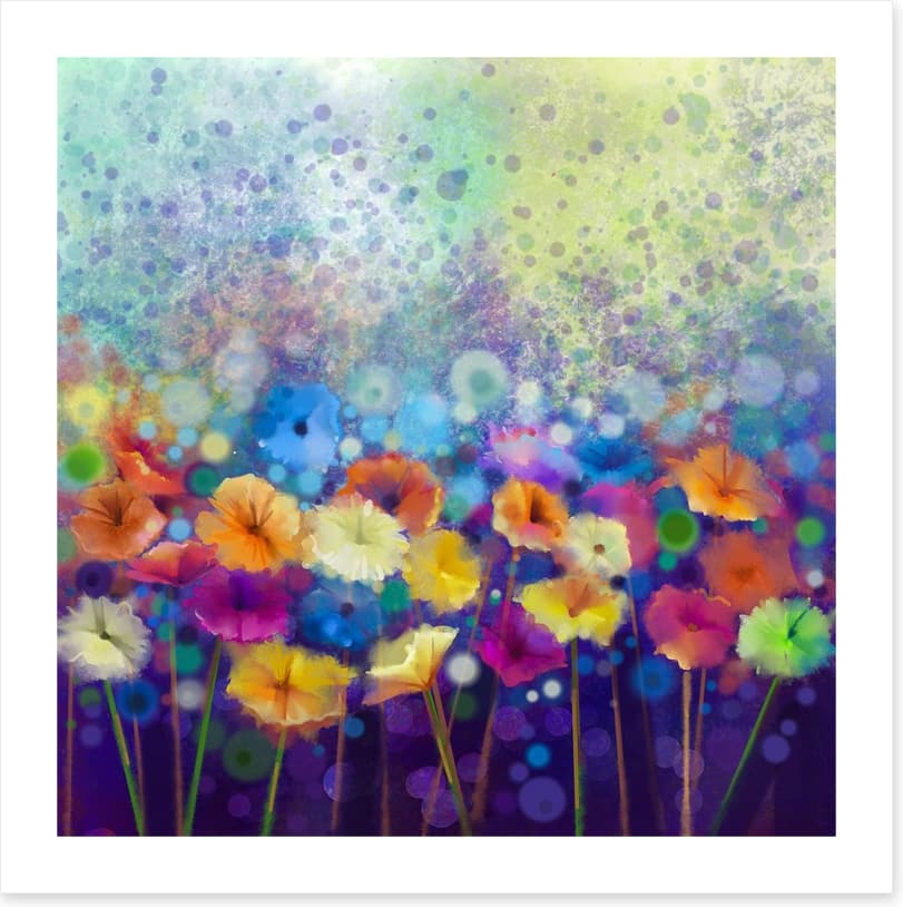 Gerbera meadow