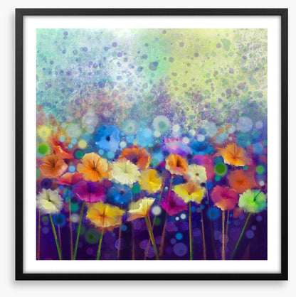 Gerbera meadow