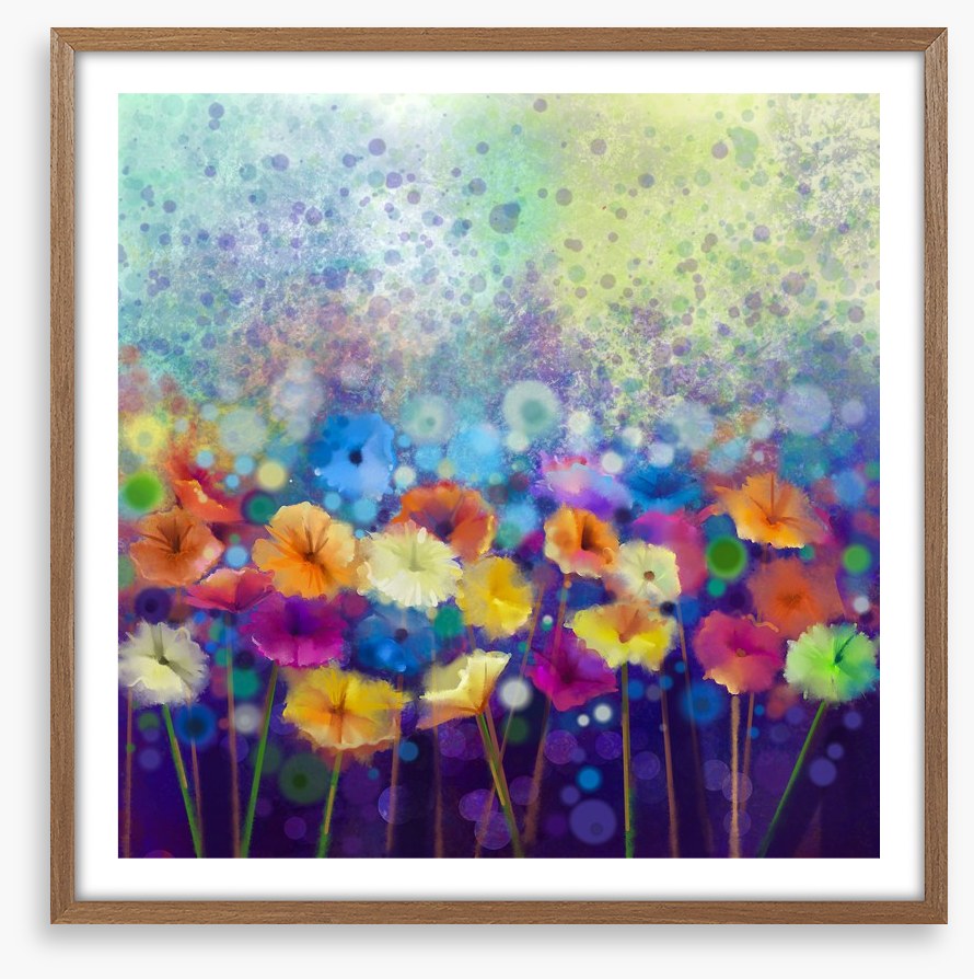 Gerbera meadow