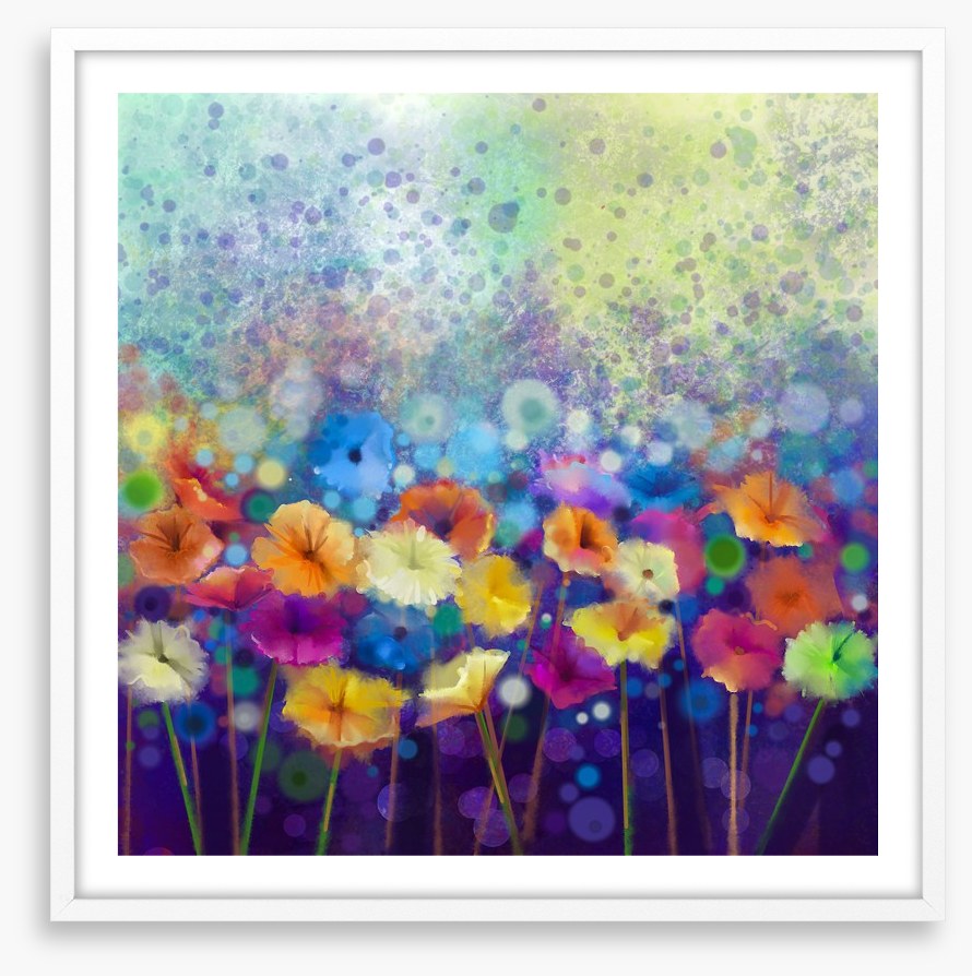 Gerbera meadow