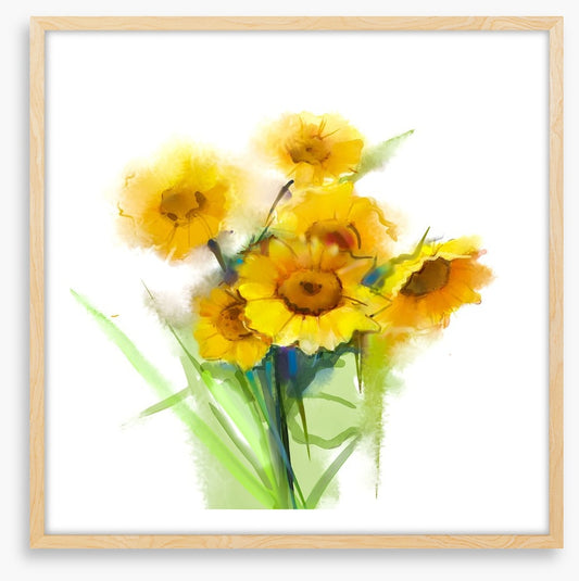 Sunflower joy