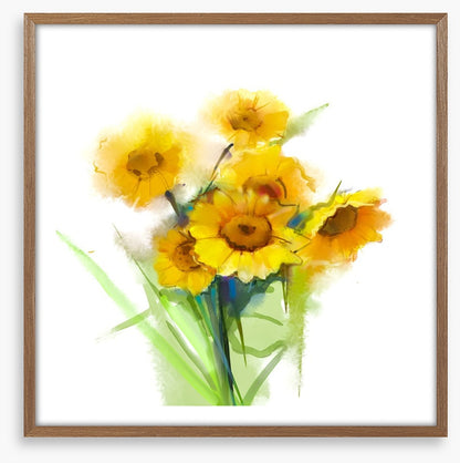 Sunflower joy