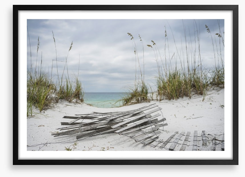 Over the stormy dunes
