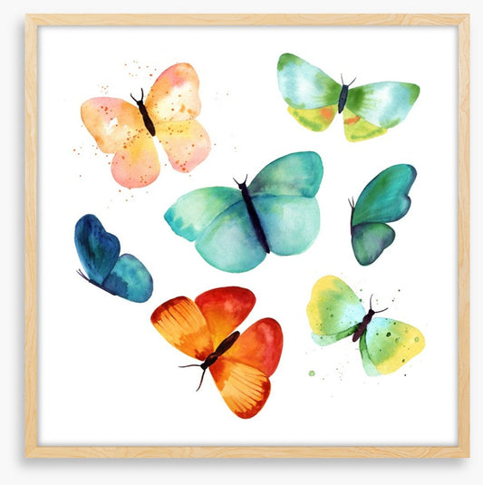 Butterflies