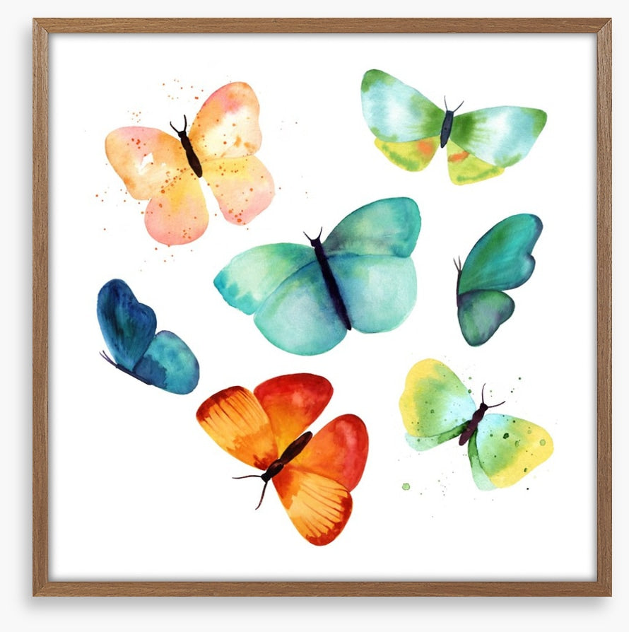 Butterflies