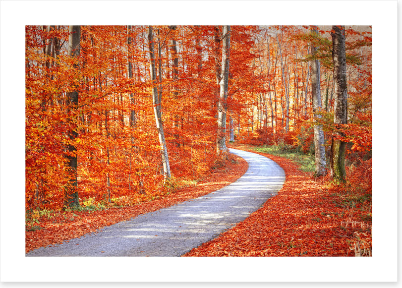 Autumn embers