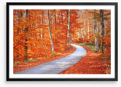 Autumn embers