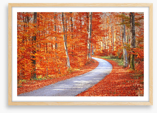 Autumn embers