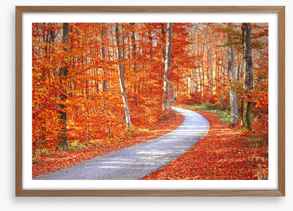 Autumn embers