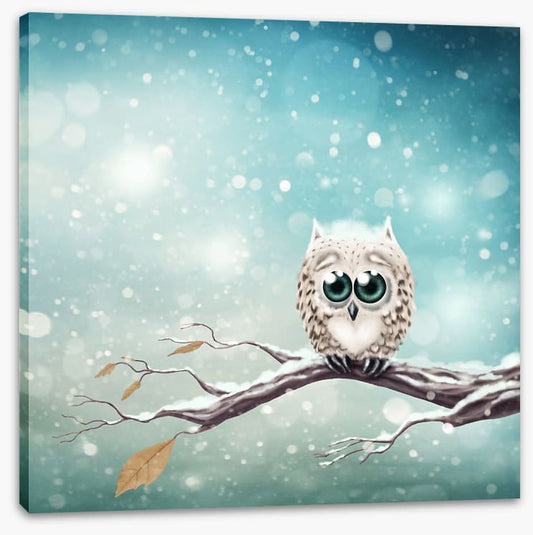Little snow owl