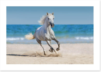 Coastal canter