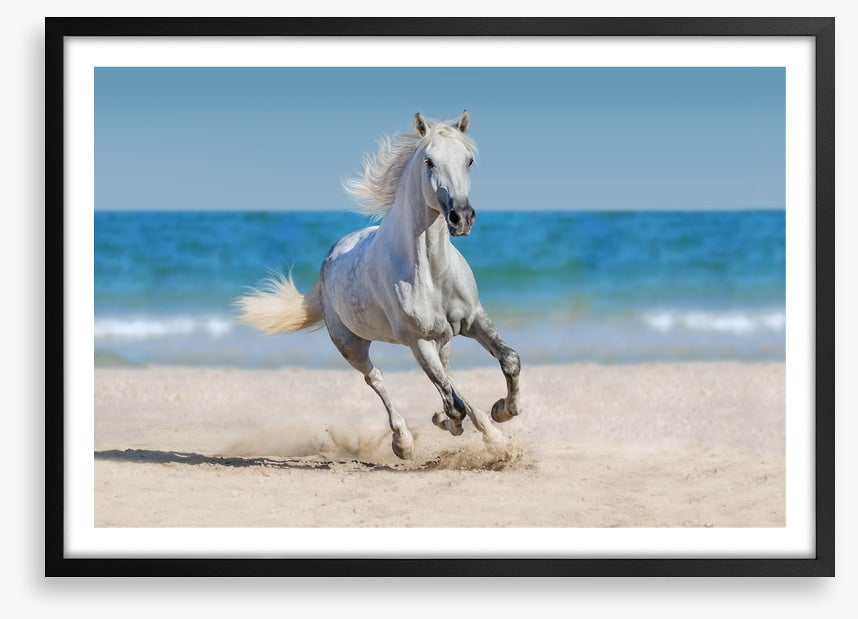 Coastal canter