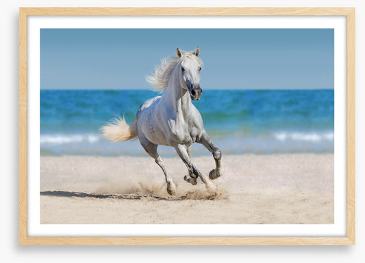 Coastal canter