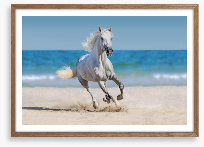 Coastal canter