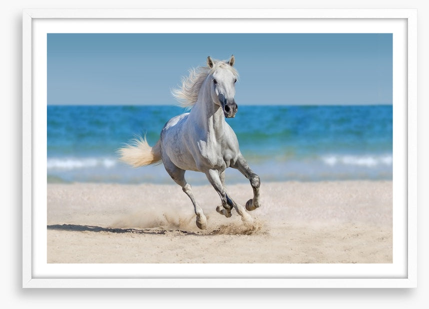 Coastal canter
