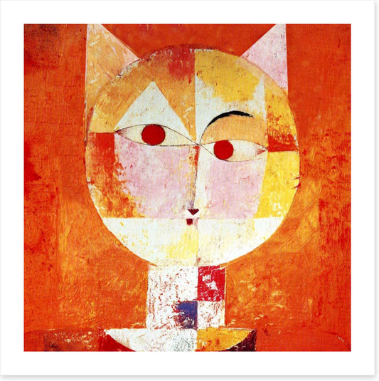 The orange cat