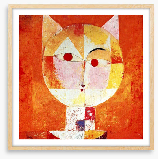 The orange cat