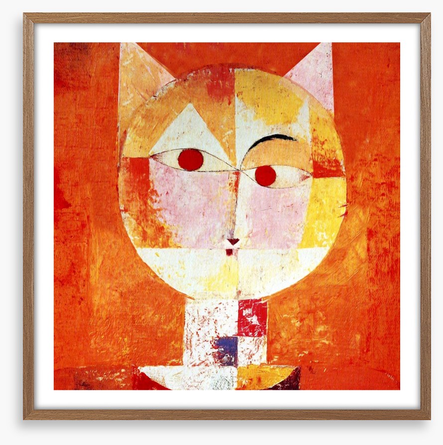 The orange cat