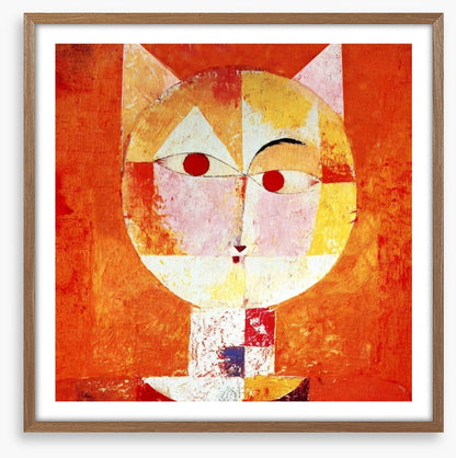 The orange cat