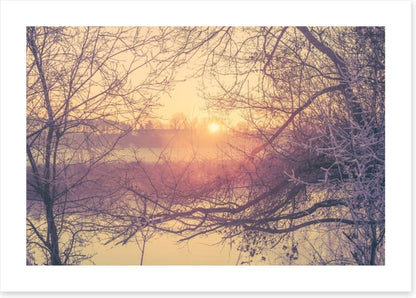 Glacé branch sunrise