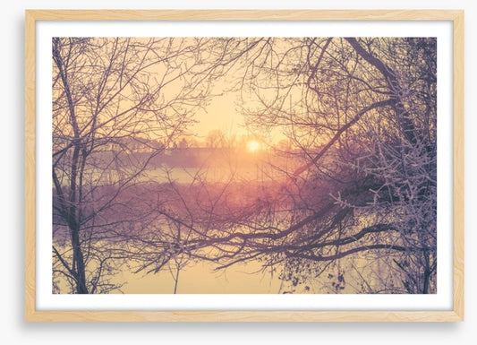 Glacé branch sunrise