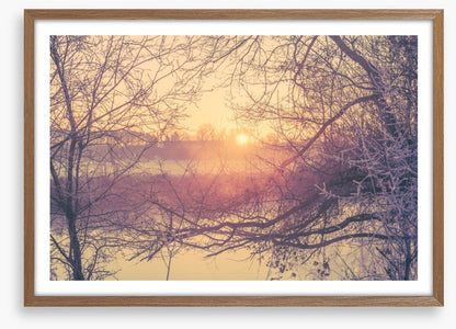 Glacé branch sunrise