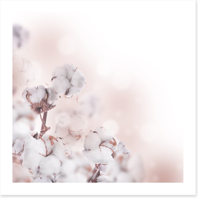 Cotton clouds