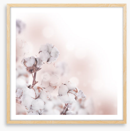 Cotton clouds