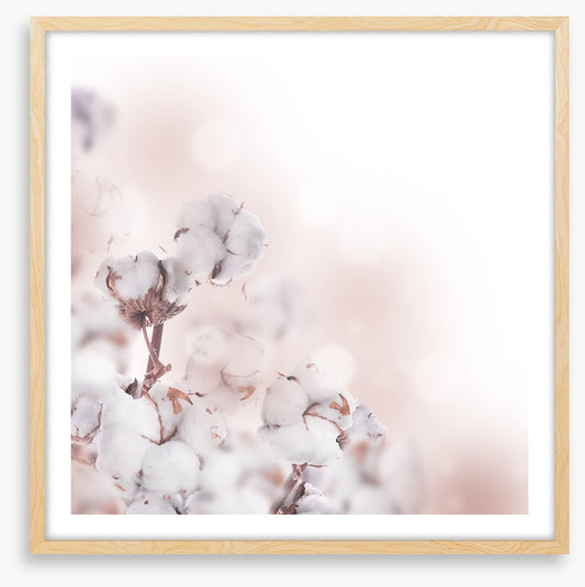 Cotton clouds