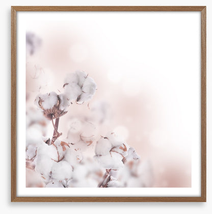 Cotton clouds