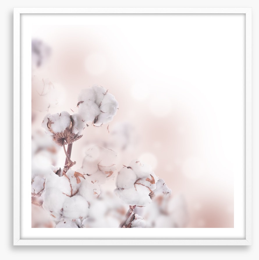 Cotton clouds