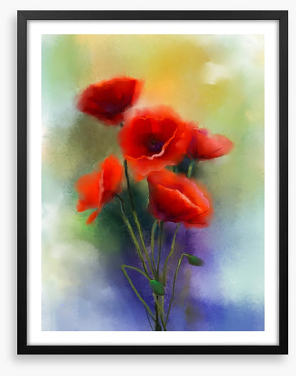 Summer poppies