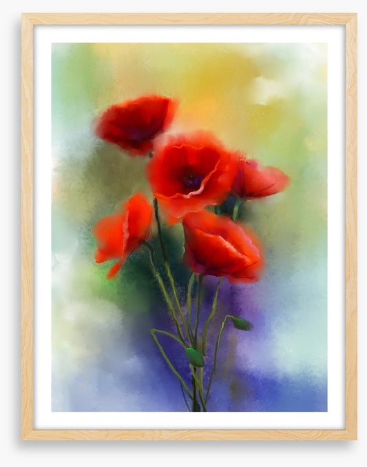 Summer poppies