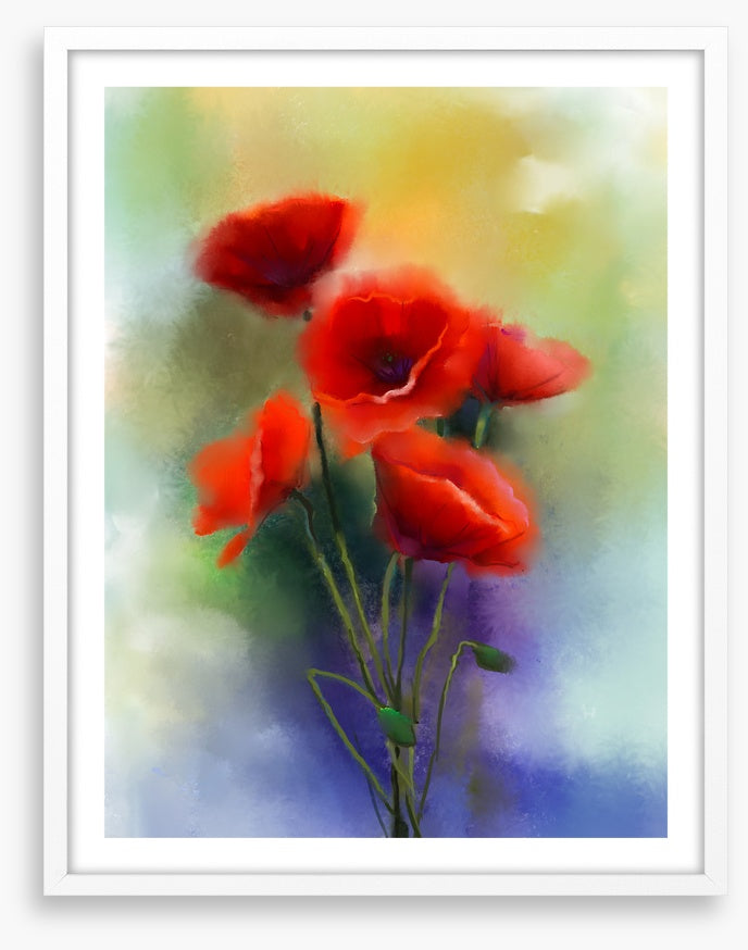 Summer poppies