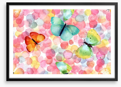 Butterfly bubbles