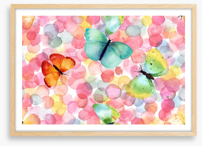 Butterfly bubbles