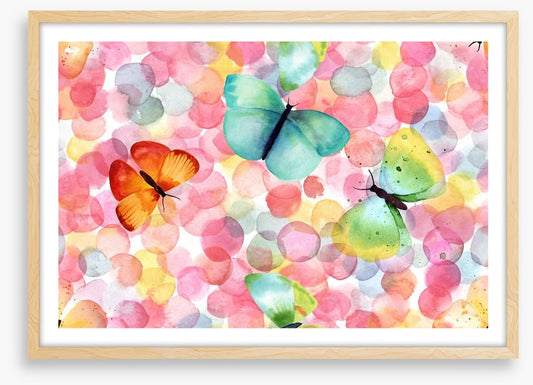 Butterfly bubbles