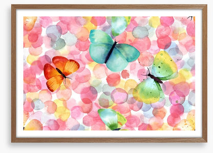 Butterfly bubbles