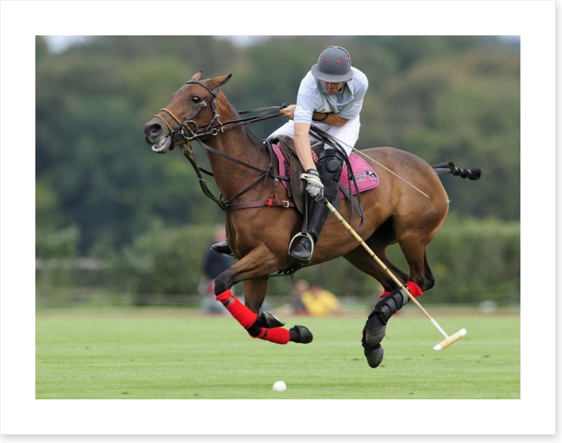 Sports