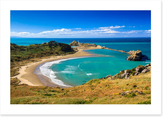 Castlepoint coast