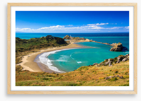 Castlepoint coast