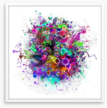 The chaos of life