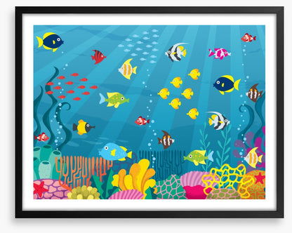 School on the reef